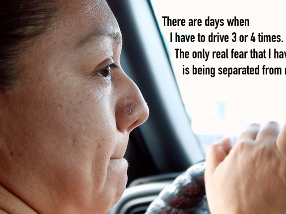 23645687 celia-drivingweb