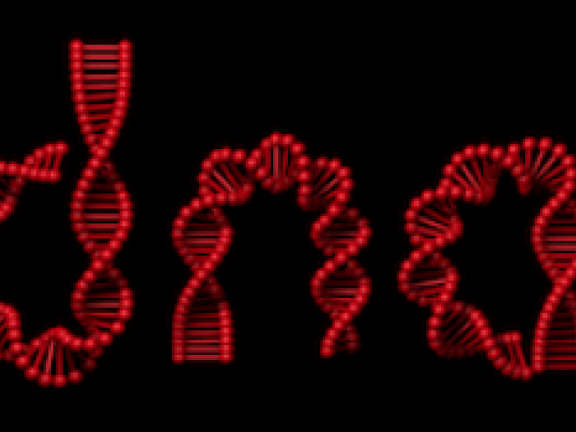 3a74e0e7-5dbd-4292-8a04-e0a633de88ed