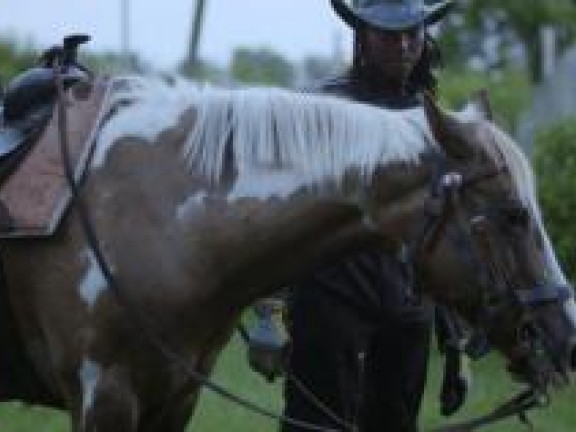 Chris and horse