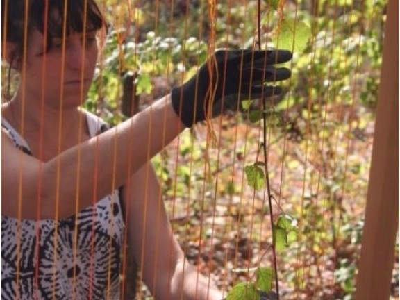 Landlab