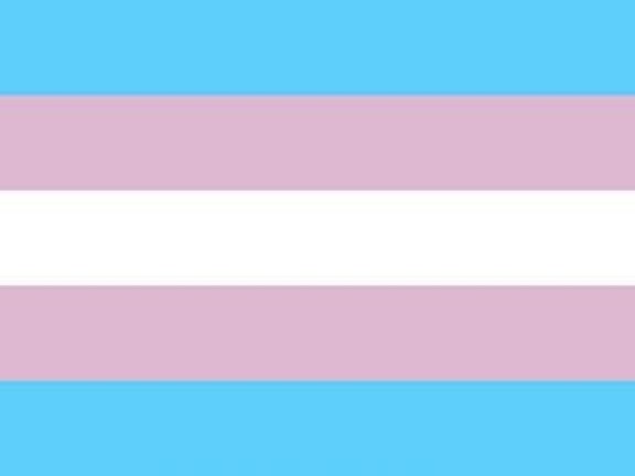 Noncis